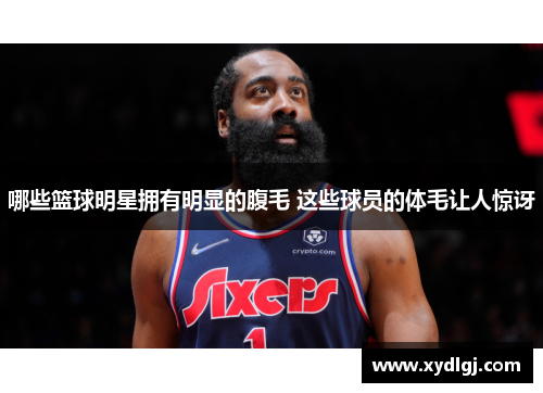 哪些篮球明星拥有明显的腹毛 这些球员的体毛让人惊讶