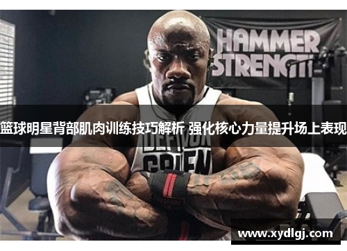 篮球明星背部肌肉训练技巧解析 强化核心力量提升场上表现