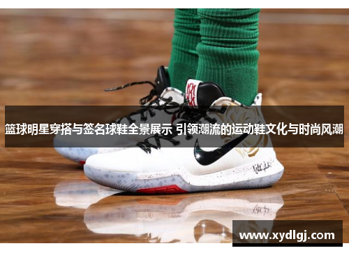 篮球明星穿搭与签名球鞋全景展示 引领潮流的运动鞋文化与时尚风潮