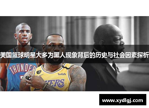 美国篮球明星大多为黑人现象背后的历史与社会因素探析