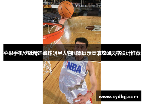 苹果手机壁纸精选篮球明星人物图集展示高清炫酷风格设计推荐
