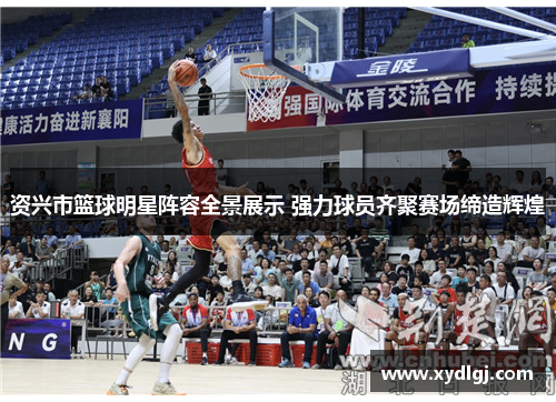 资兴市篮球明星阵容全景展示 强力球员齐聚赛场缔造辉煌