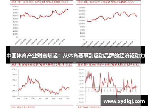 中国体育产业财富崛起：从体育赛事到运动品牌的经济驱动力